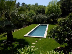 Piscine et arbres en Provence