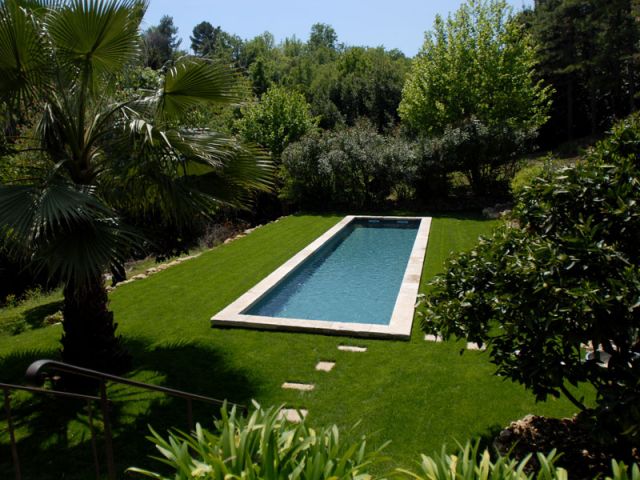 quel arbre vers une piscine